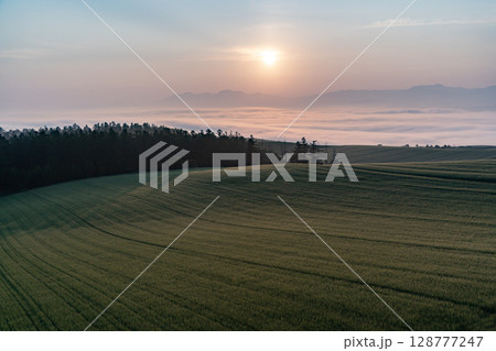 初夏の田園風景と大地 初夏の田園風景と大地 128777247