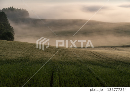 初夏の田園風景と大地 128777254