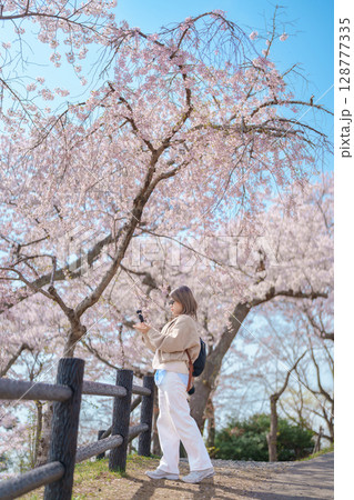 Woman tourist sightseeing Sakura Cherry Blossom in Spring. Happy traveler travel at Saigyo Modoshi no Matsu over Matsushima Bay in Matsushima, Miyagi Prefecture, Japan. Famous Landmark and Vacation Woman tourist sightseeing Sakura Cherry Blossom in Spring. Happy traveler travel at Saigyo Modoshi no Matsu over Matsushima Bay in Matsushima, Miyagi Prefecture, Japan. Famous Landmark and Vacation 128777335