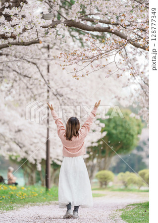 Woman tourist sightseeing Kajo Park Yamagata Castle Ruins with Sakura Cherry Blossom in Spring, happy traveler travel in Yamagata prefecture, Tohoku, Japan. famous Landmark for Travel and Vacation Woman tourist sightseeing Kajo Park Yamagata Castle Ruins with Sakura Cherry Blossom in Spring, happy traveler travel in Yamagata prefecture, Tohoku, Japan. famous Landmark for Travel and Vacation 128777349