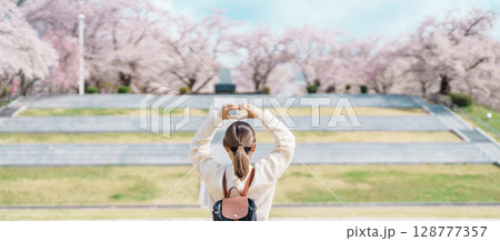 Woman tourist sightseeing Tendo Park or Maizuru Park with Sakura Cherry Blossom in Spring, happy traveler travel in Yamagata prefecture, Tohoku, Japan. famous Landmark for Travel and Vacation Woman tourist sightseeing Tendo Park or Maizuru Park with Sakura Cherry Blossom in Spring, happy traveler travel in Yamagata prefecture, Tohoku, Japan. famous Landmark for Travel and Vacation 128777357
