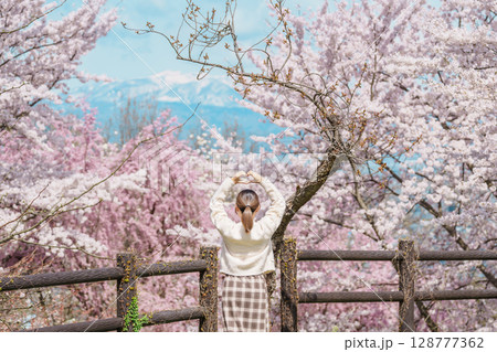 Woman tourist sightseeing Sakura Cherry Blossom in Spring, happy traveler travel in Tendo Park or Maizuru Park in Yamagata prefecture, Tohoku, Japan. famous Landmark for Travel and Vacation 128777362
