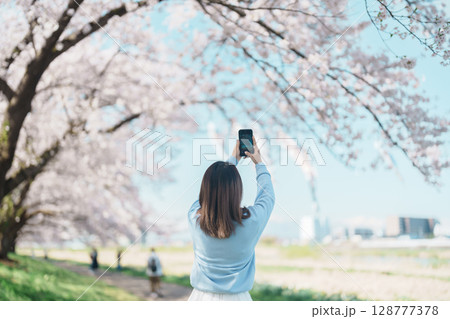Woman tourist taking photo in Kitakami Tenshochi Park with Sakura Cherry Blossom in Spring, happy traveler travel in Kitakami, Iwate prefecture, Japan. famous Landmark Travel and Vacation destination Woman tourist taking photo in Kitakami Tenshochi Park with Sakura Cherry Blossom in Spring, happy traveler travel in Kitakami, Iwate prefecture, Japan. famous Landmark Travel and Vacation destination 128777378
