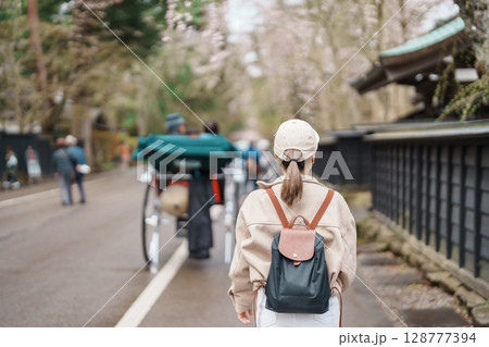 Woman tourist sightseeing Sakura Cherry Blossom in Spring. Happy traveler travel in Samurai village or Little Kyoto in Kakunodate town, Semboku District, Akita Prefecture, Japan. Landmark and Vacation 128777394