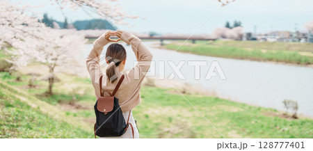 Woman tourist sightseeing Sakura Cherry Blossom in Spring. Happy traveler travel near Hinokinai River riverbank in Kakunodate town, Semboku District, Akita Prefecture, Japan. Landmark and Vacation 128777401