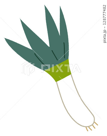 下仁田ネギのイラスト 下仁田ネギのイラスト 128777482