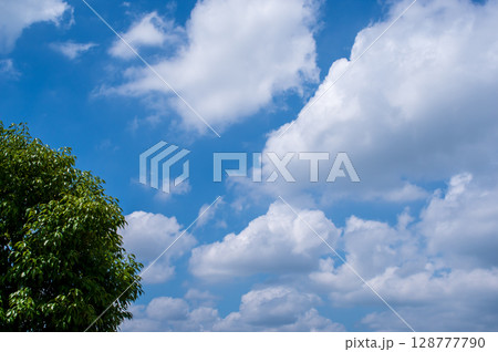 爽やかな夏の青空 爽やかな夏の青空 128777790