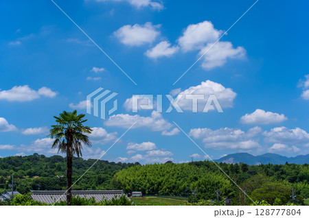 爽やかな夏の青空 128777804