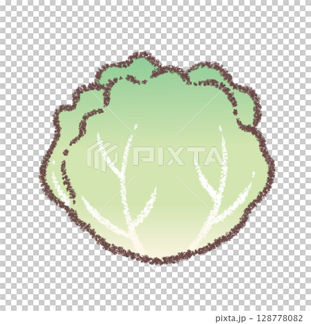 lettuce lettuce 128778082