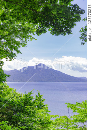 新緑に囲まれた支笏湖と風不死岳 128778258