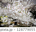 満開の夜桜 128779055
