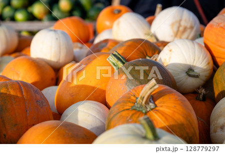 Close-up of assorted pumpkins in outdoor autumn market Close-up of assorted pumpkins in outdoor autumn market 128779297