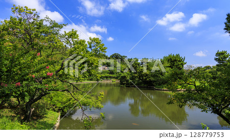 三渓園・三溪園の夏 128779753