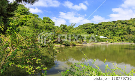 三渓園・三溪園の夏 128779756