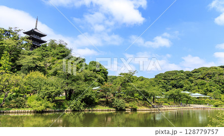 三渓園・三溪園の夏 三渓園・三溪園の夏 128779757