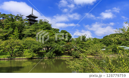 三渓園・三溪園の夏 三渓園・三溪園の夏 128779759