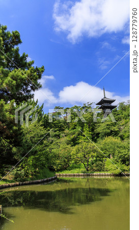 三渓園・三溪園の夏 三渓園・三溪園の夏 128779760