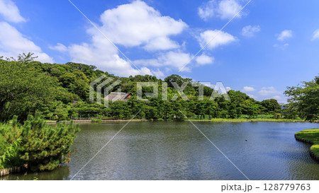 三渓園・三溪園の夏 128779763