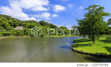 三渓園・三溪園の夏 128779764