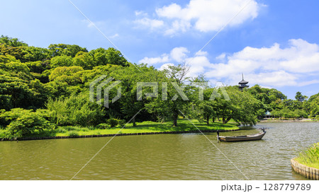 三渓園・三溪園の夏 128779789