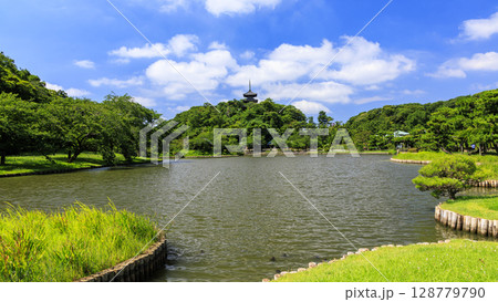 三渓園・三溪園の夏 三渓園・三溪園の夏 128779790
