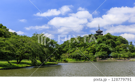 三渓園・三溪園の夏 三渓園・三溪園の夏 128779791