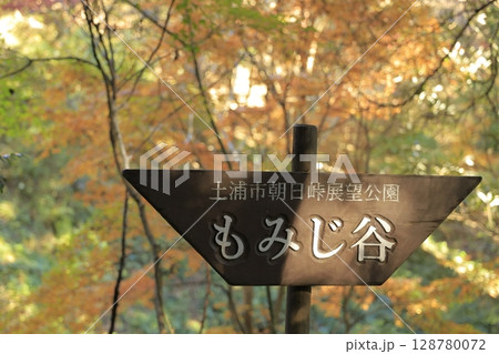 茨城県の小町山（こまちやま）のハイキングコース沿いにある、紅葉がピークのもみじ谷 128780072