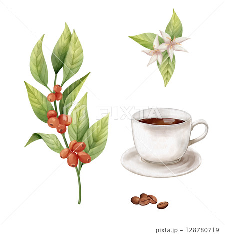 Coffee tree branches, beans and cup. Hand-drawn illustration 128780719