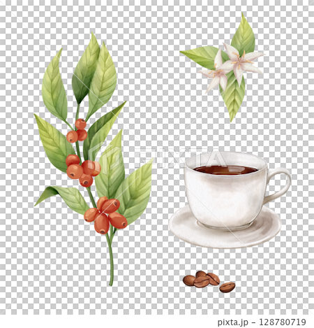 Coffee tree branches, beans and cup. Hand-drawn illustration 128780719