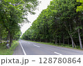 新緑の森を抜ける北海道国道276号線 128780864