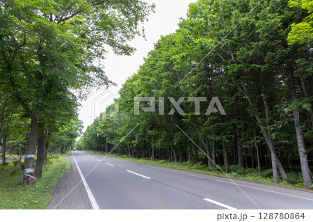 新緑の森を抜ける北海道国道276号線 128780864