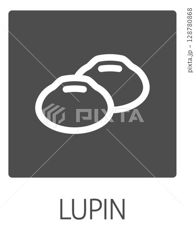Lupin Bean Legume Food Icon Concept 128780868