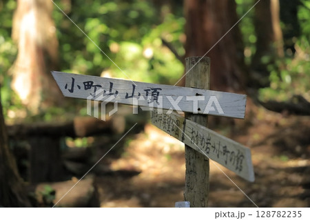 茨城県の小町山(こまちやま)のハイキングコースの道標 茨城県の小町山(こまちやま)のハイキングコースの道標 128782235