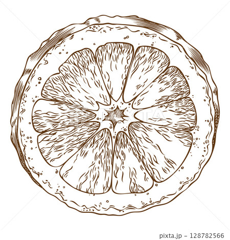Half of orange in monochrome line sketch with texture, hand drawn. Half of orange in monochrome line sketch with texture, hand drawn. 128782566