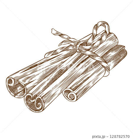 Monochrome sketch of cinnamon sticks tied with a rope. 128782570