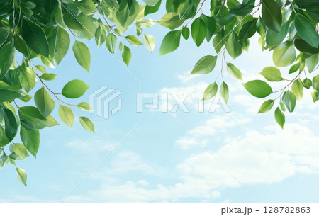 Blue sky and white clouds with green leaves in foreground, suitable for background 128782863