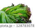 レタスについているナメクジ 128783078