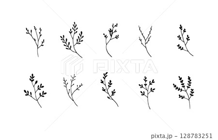 Botanical Branch Set. A rustic-style set of decorative botanical twigs and leafy sprigs, ideal for elegant nature-inspired branding and organic packaging. 128783251