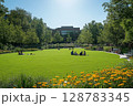 a vibrant urban park with families relaxing on the grass, surrounded by trees, flowers, and modern seating areas 128783345