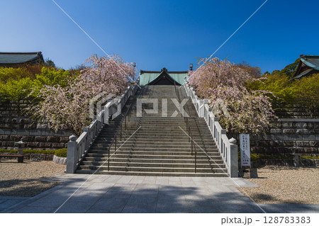 袋井市の法多山尊永寺の参道の風景(静岡県) 128783383