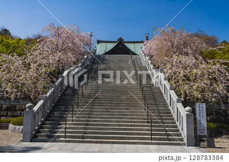 袋井市の法多山尊永寺の参道の風景(静岡県) 袋井市の法多山尊永寺の参道の風景(静岡県) 128783384