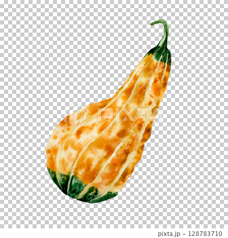 Watercolor pumpkin painted in rustic orange and green tones. Hand-drawn halloween autumn vegetable perfect for harvest and thanksgiving themes. Isolated botanical illustration for seasonal food and Watercolor pumpkin painted in rustic orange and green tones. Hand-drawn halloween autumn vegetable perfect for harvest and thanksgiving themes. Isolated botanical illustration for seasonal food and 128783710
