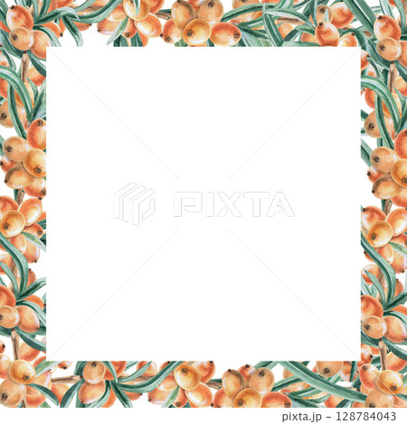 Square frame of sea buckthorn branches. Isolated watercolor illustration for decorating dishes, textiles, printing on fabric, postcards, design of printed products and for Harvest Day. Square frame of sea buckthorn branches. Isolated watercolor illustration for decorating dishes, textiles, printing on fabric, postcards, design of printed products and for Harvest Day. 128784043
