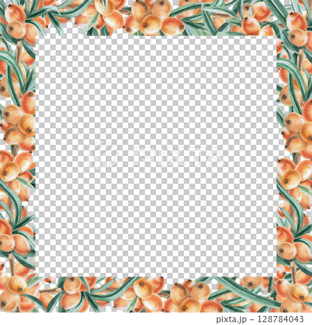 Square frame of sea buckthorn branches. Isolated watercolor illustration for decorating dishes, textiles, printing on fabric, postcards, design of printed products and for Harvest Day. Square frame of sea buckthorn branches. Isolated watercolor illustration for decorating dishes, textiles, printing on fabric, postcards, design of printed products and for Harvest Day. 128784043