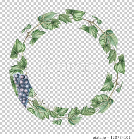 Round frame of ripe grapevine. Isolated watercolor illustration for tableware, home textile, printed design and harvest day. Round frame of ripe grapevine. Isolated watercolor illustration for tableware, home textile, printed design and harvest day. 128784101