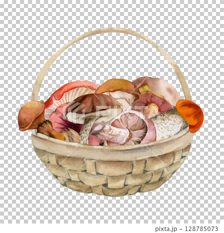 Basket full of picked mushrooms, autumn forest harvest of bolete russula webcap milk-cap fungi, vegan cooking edible raw ingredient. Illustration hand drawn in watercolor. Seasonal menu recipe cards 128785073