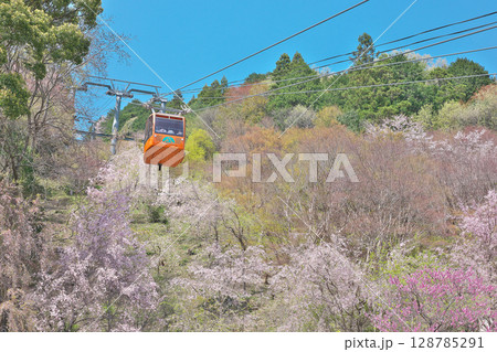 【箸蔵山ロープウェイ】 徳島県三好市池田町州津蔵谷 128785291