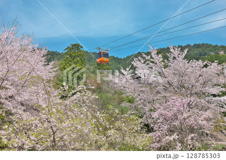 【箸蔵山ロープウェイ】 徳島県三好市池田町州津蔵谷 128785303