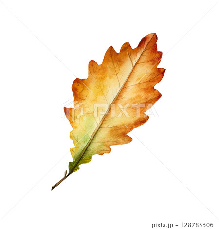 Watercolor oak leaf in warm autumn tones. Botanical hand drawn idolated illustration ideal for seasonal, forest, or nature-themed designs. Rustic foliage perfect for fall decor, woodland, or organic 128785306