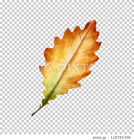 Watercolor oak leaf in warm autumn tones. Botanical hand drawn idolated illustration ideal for seasonal, forest, or nature-themed designs. Rustic foliage perfect for fall decor, woodland, or organic Watercolor oak leaf in warm autumn tones. Botanical hand drawn idolated illustration ideal for seasonal, forest, or nature-themed designs. Rustic foliage perfect for fall decor, woodland, or organic 128785306